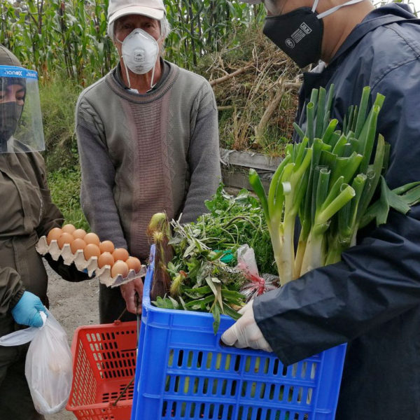 Canasta para Vegetales - Imagen 2