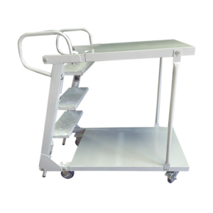 Escalera de Picking