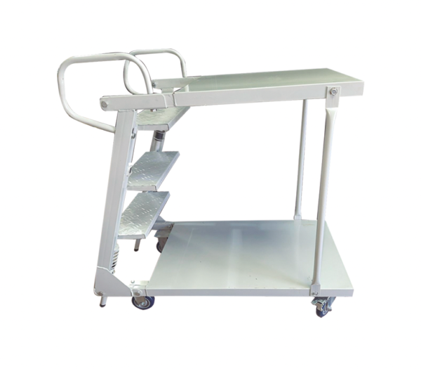 Escalera de Picking